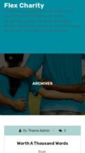 Flex Charity (screenshot mobile)