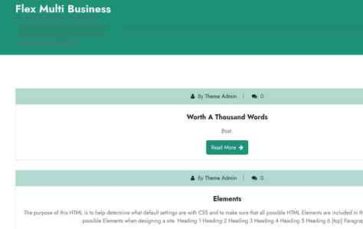 Flex Multi Business (screenshot desktop)