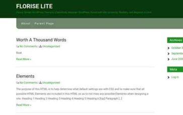 Florise Lite (screenshot desktop)