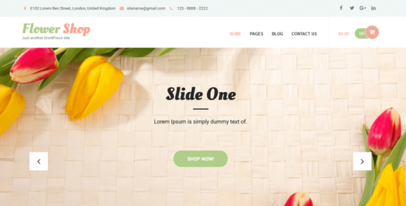 Flower Shop Lite (WordPress)