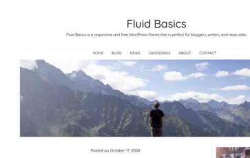 Fluid Basics (screenshot desktop)