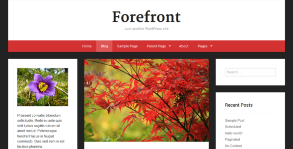 Forefront (WordPress)