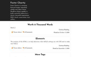 Foster Charity (screenshot desktop)