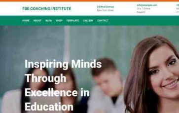 FSE Coaching Institute (screenshot desktop)