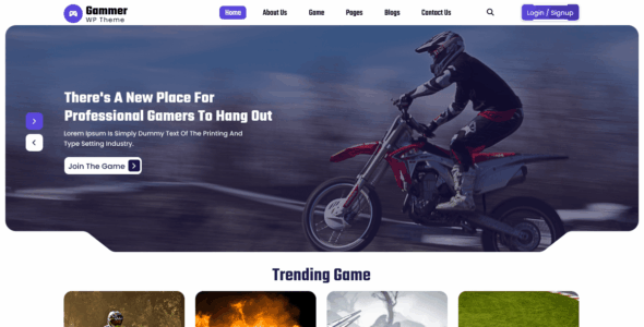 FSE Gamer (WordPress)