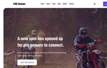 FSE Gamer (screenshot desktop)