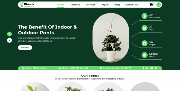 FSE Green (WordPress)