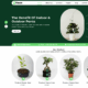 FSE Green (WordPress)