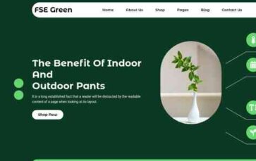 FSE Green (screenshot desktop)