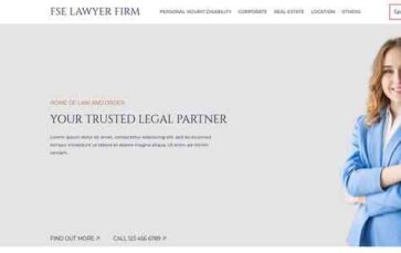FSE Lawyer Firm (screenshot desktop)
