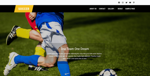 FSE Soccer (WordPress)