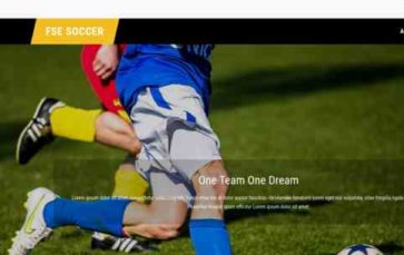 FSE Soccer (screenshot desktop)