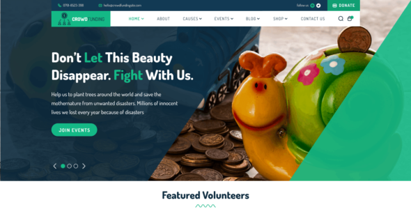 FSE Social NGO (WordPress)
