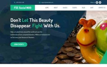 FSE Social NGO (screenshot desktop)