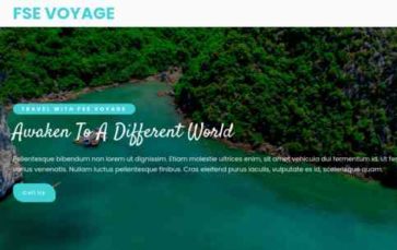 FSE Voyage (screenshot desktop)