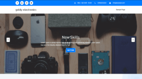 Goldy Electronics (WordPress)