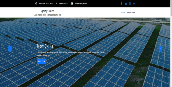 Goldy Soler (WordPress)