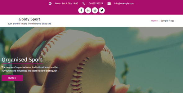 Goldy Sport (WordPress)