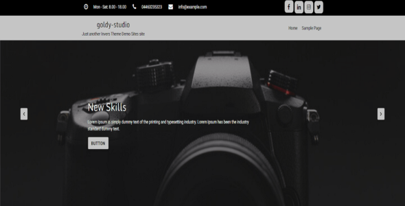 Goldy Studio (WordPress)