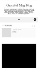 Graceful Mag Blog (screenshot mobile)