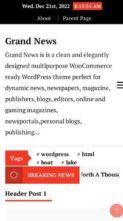 Grand News (screenshot mobile)