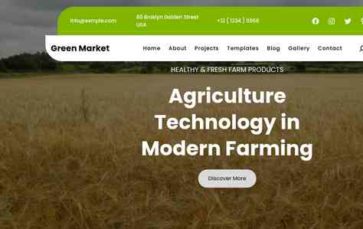 Green Market (screenshot desktop)