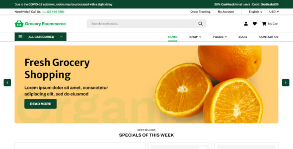 Grocery Ecommerce (WordPress)
