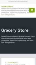 Grocery Store (aThemeArt) (screenshot mobile)