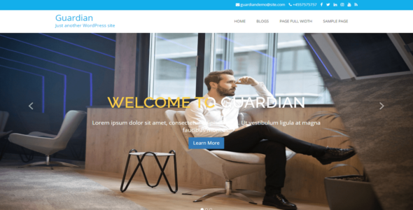 Guardian (WordPress)