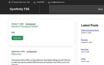 Gymfinity FSE (screenshot desktop)