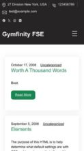 Gymfinity FSE (screenshot mobile)