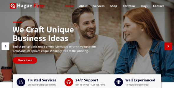 Hague Firm (WordPress)