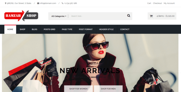 Hamzahshop (WordPress)