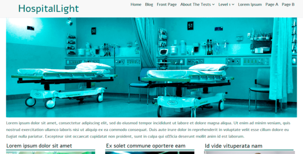HospitalLight (WordPress)
