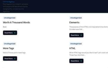 HS First Agency (screenshot desktop)