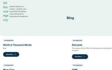 HS Second Agency (screenshot desktop)