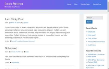 Icon Arena (screenshot desktop)