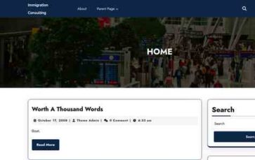 Immigration Consulting (screenshot desktop)