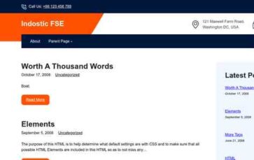 Indostic FSE (screenshot desktop)