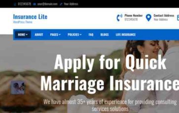 Insurance Lite (screenshot desktop)