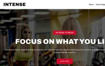 Intense (FlyThemes) (screenshot desktop)