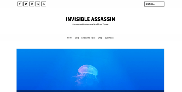 Invisible Assassin (WordPress)