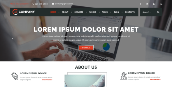 IT Company (WordPress)