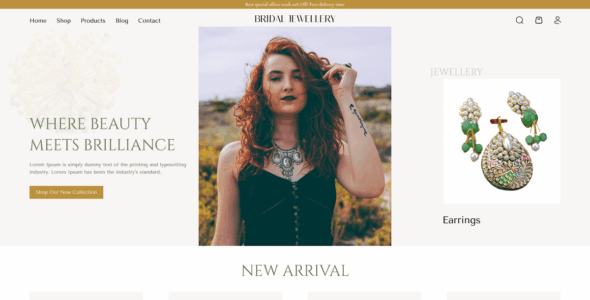 Jewelry Accessories (WordPress)