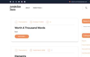 Jungle Eco Tours (screenshot desktop)