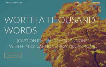 Juniper (ThemeShift) (screenshot desktop)