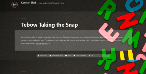 Kamran Shafi (WordPress)