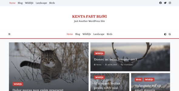 Kenta Fast Blog (WordPress)