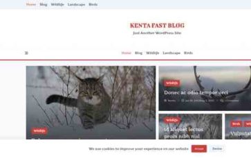 Kenta Fast Blog (screenshot desktop)