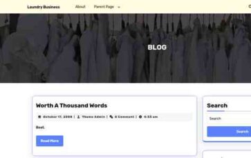 Laundry Business (screenshot desktop)